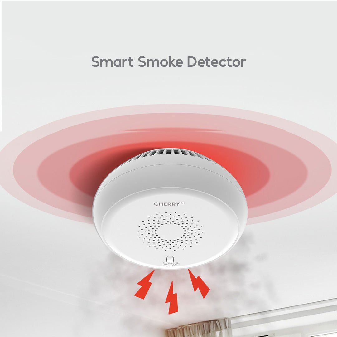 Smart Security System - Image 4