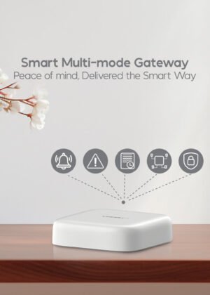 Multi-Mode Gateway