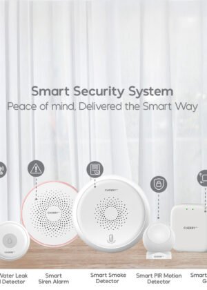 Smart Security System