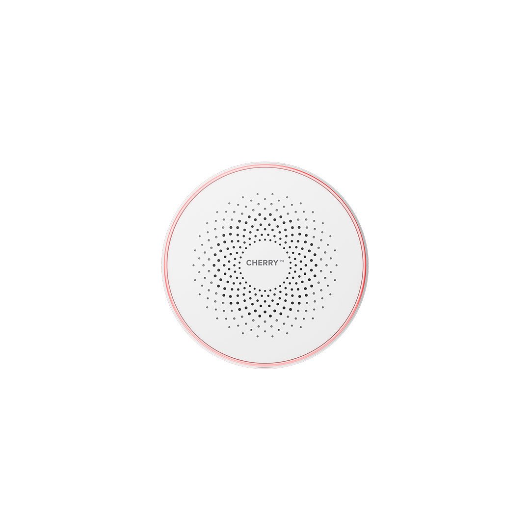 Smart Siren Alarm - Image 9